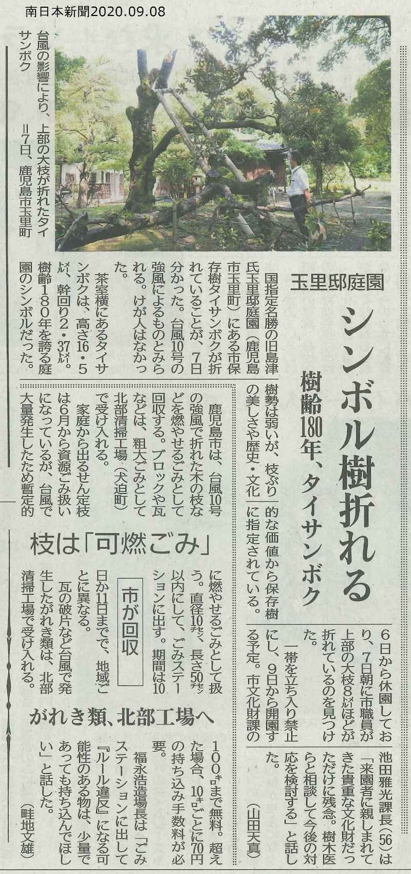 玉里邸庭園シンボル樹折れる_南日本新聞2020.09.08